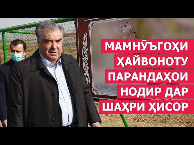 Эмомали Рахмон в Гиссаре открыл заповедник редких зверей и птиц / новости таджикистана