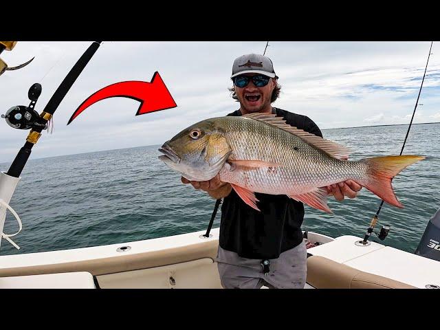 Catching a MUTTON SNAPPER on Pinfish {catch and cook}