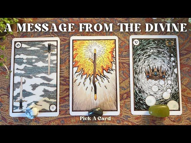 A Message From The Divine, Just For You *Timeless* Pick A Card | Tarot Reading