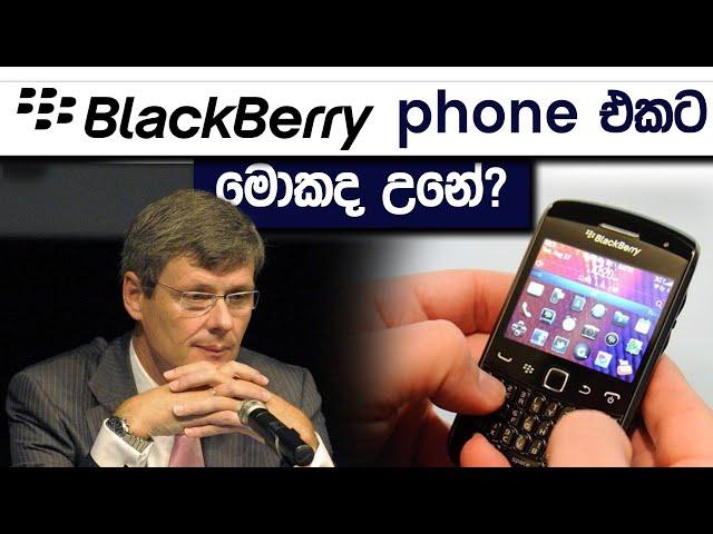 Why BlackBerry Phone Failed? | Case Study Pro | Simplebooks