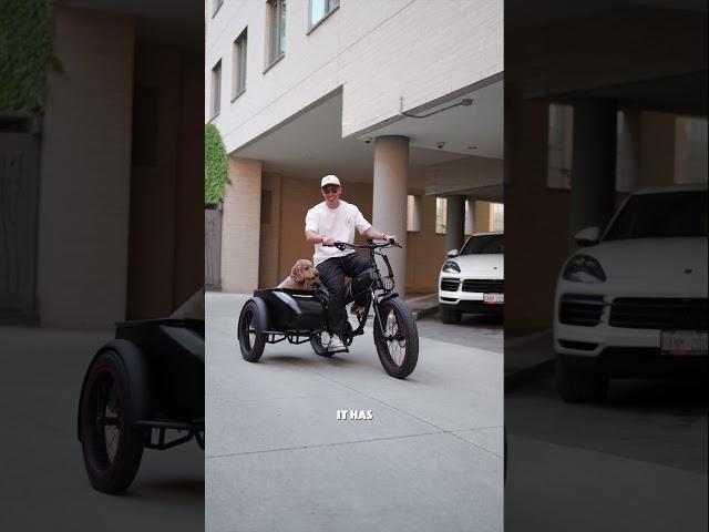 The DOG e-Bike! Mod Bikes Easy 3 with Sidecar