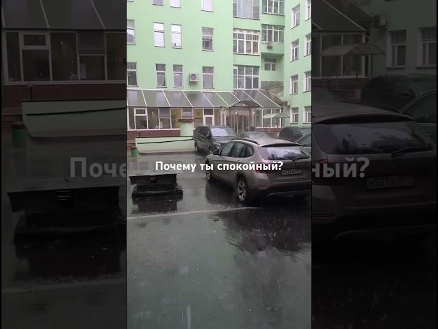 не спорь с глупым #психология #личность #осознанность #жизнь #визуализация #философия #цитатыосмысле