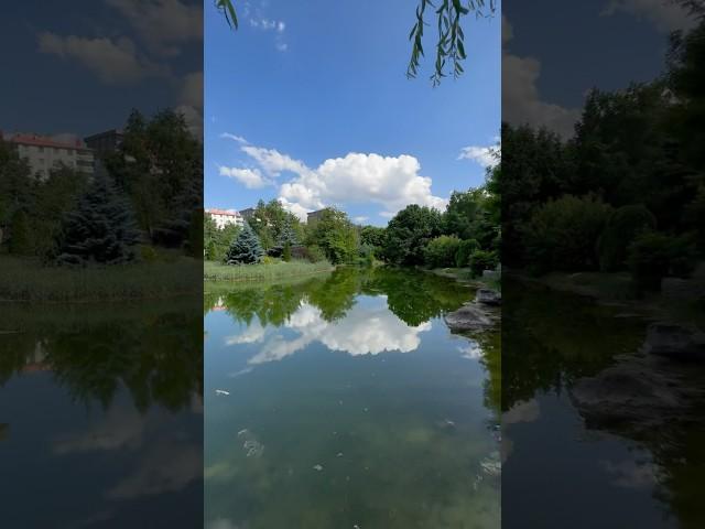 Ata Park Botanik Bahçesi, Erzurum  #erzurum #travelphotoss35 #botanicalgarden #botanical #keşfet