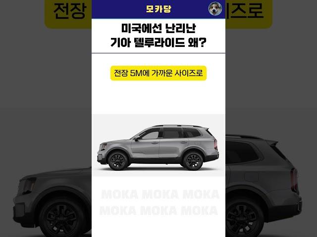 미국에서 난리 난 텔루라이드! 한국엔 왜 안 팔지?
