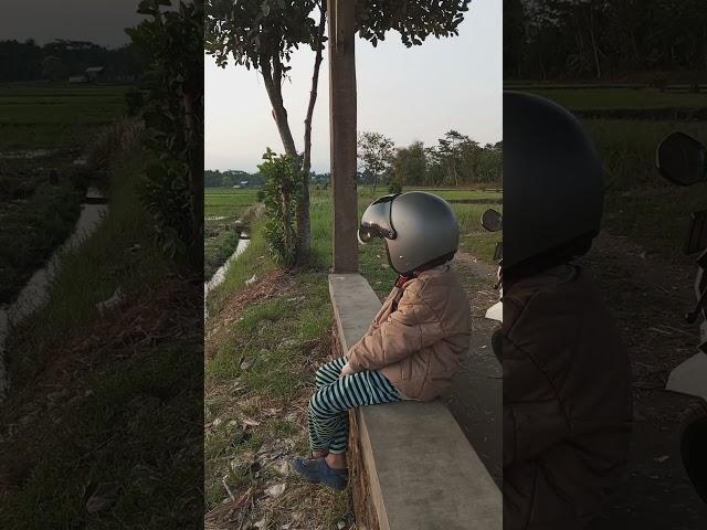 Cerita anak - jalan2 sore ke sawah dekat balitkabi