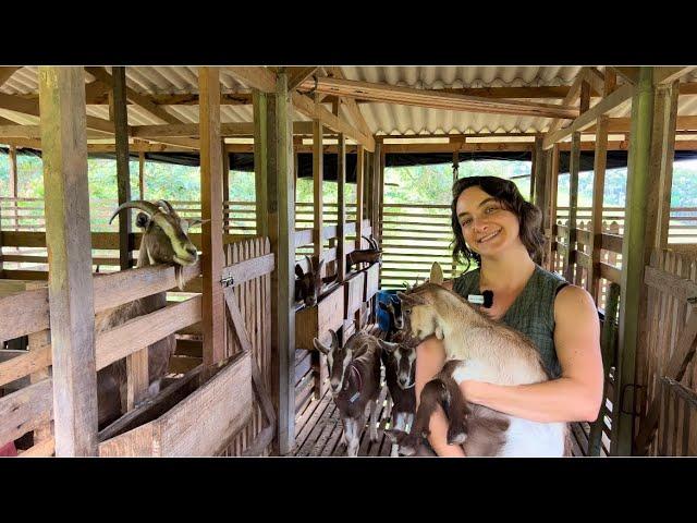 A ARTISTA QUE DEIXOU OS PALCOS PRA CUIDAR DE CABRAS NO SÍTIO