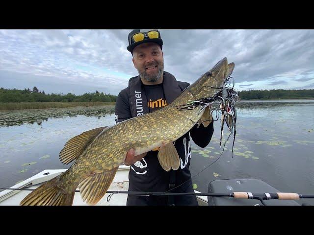 TURBOHAUKIA Pinnasta - Hauenkalastus Pintavieheillä - SpinTube - Hauki - Eumer Fishing