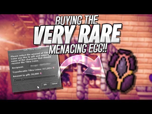 BUYING A RARE MOUNT BY 50K IN TIBIA COINS! RUBINI DIED ON 1199 | FAIL ANNIHILATOR #TibiaFerumbrinha