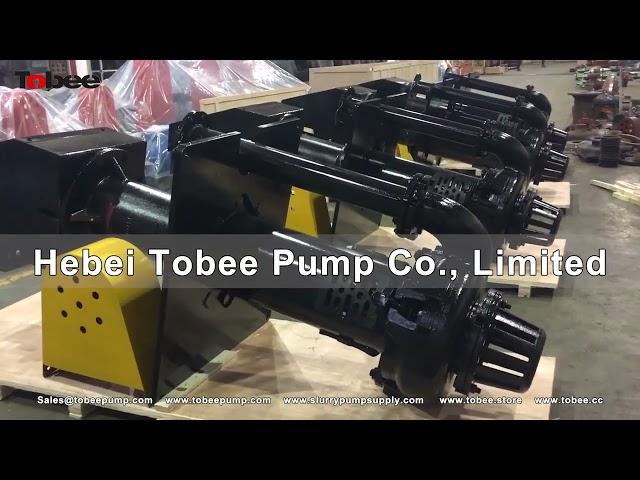 Tobee® 100RV-SP Vertical Slurry Pump