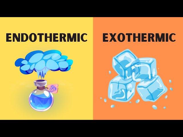 Endothermic and Excothermic Phase Changes