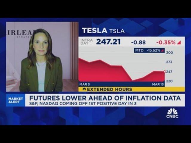 Stockton: Mega-Cap stocks could outperform during a market bounce