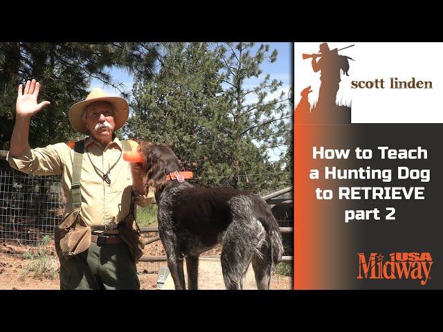 How to Teach a Hunting Dog to Retrieve part 2 | Scott Linden