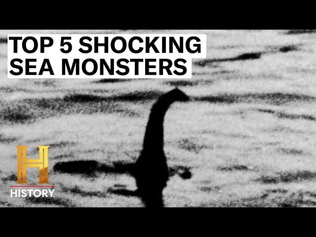 5 MYSTERIOUS SEA MONSTERS UNCOVERED | The Proof is Out There