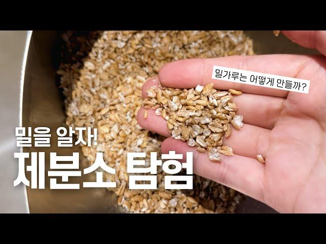 밀가루는 어떻게 만들어질까? 국내 유일 '진짜 맷돌' 제분소 탐험 | 우리밀, 맷돌 제분 | Korean Stone Miller