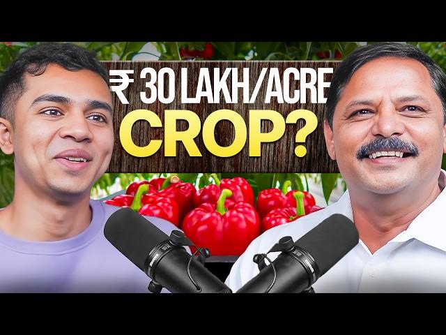 Capsicum Growing Made Easy: Expert Advice for Beginners | Agritalk by Abhinav Roy