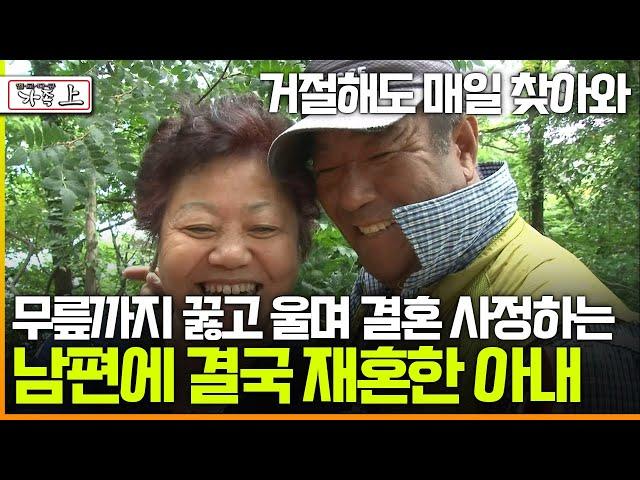 [멜로다큐 '가족' 336회 上] 이혼 후 매일 찾아와 무릎까지 꿇고 울며 결혼 사정하는 남편에 결국 재혼한 아내