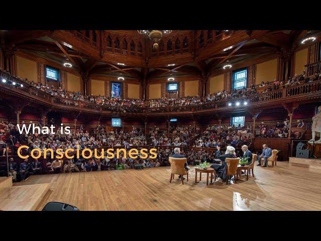 Sadhguru 2018 - What is Consciousness | Amazing Speech at Harvard Medical School (Like TED)