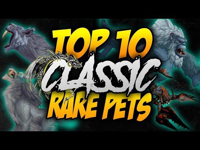 TOP 10 AWESOME RARE PETS IN CLASSIC WOW!