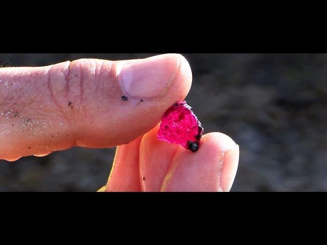 Rubies from Aappaluttoq, Greenland.