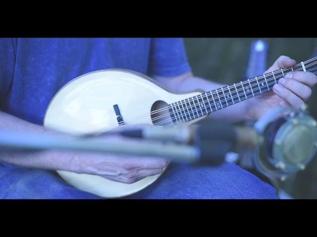 Muleskinner Instruments - #012 Oval hole (yellow birch/adirondack spruce)