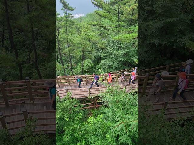 #노을명소 #무장애숲길 #트레킹가이드 #노는법 #갈맷길