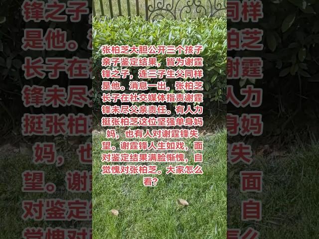 #八卦 #明星 #张柏芝 #谢霆锋