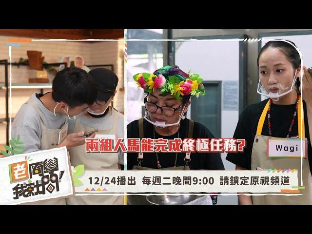 原視 老同學我就問 第三季 第三十九集【 職場體驗 終極體驗】12/24 21:00