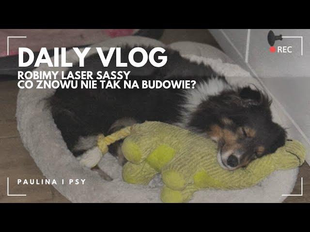 VLOG: SASSY ZACZYNA TERAPIĘ LASEREM - CO ZNOWU WYDARZYŁO SIĘ NA BUDOWIE? | PAULINA I PSY