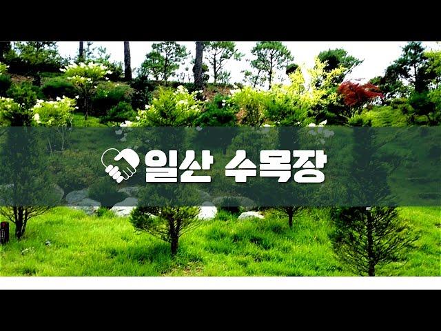 경기도 일산 수목장 미리 준비하는 이유