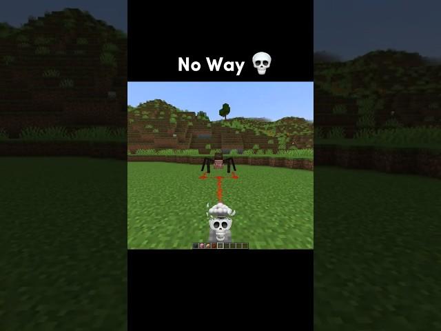 Spider Pig in Minecraft 
