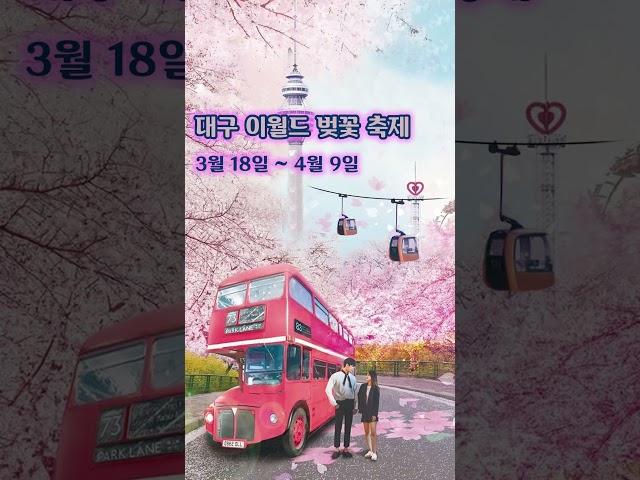 올해 다시 열리는 유명 벚꽃 축제 TOP10