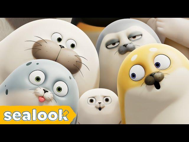 SEALOOK ⭐FULL EPISODES⭐ㅣSEALOOKㅣ90MIN Episodes Compilation