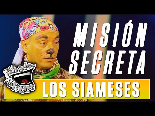 ¡Top secret! Los Siameses emprenden la misión “Tigrillo” | Sábados Felices