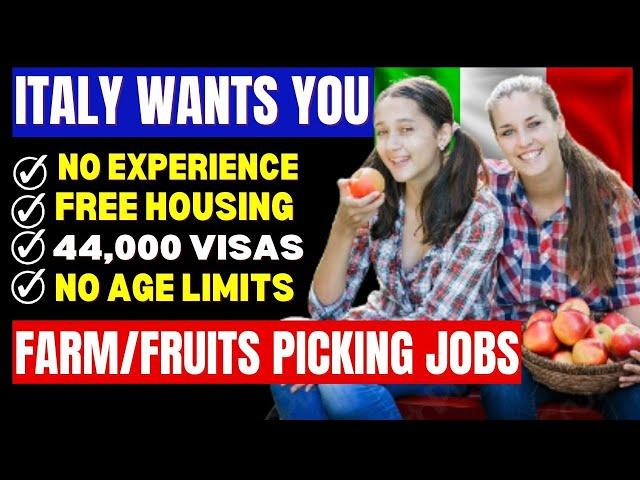 Come To Italy For Free In 2024: Farm Worker/Fruit Picking Jobs in Italy 2024: Italy Work Permit Free