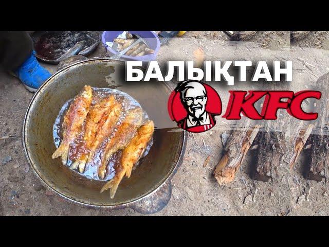 Балықты KFC сияқты қуырдық. ЖАРИМ РЫБУ КАК KFC