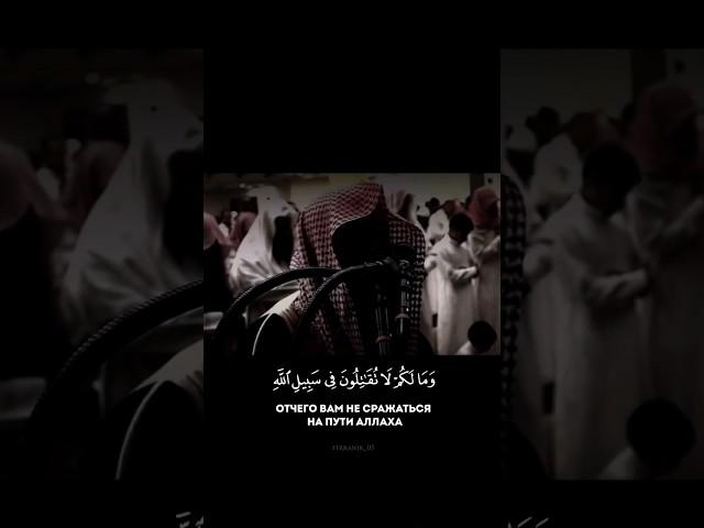 {ومالكم لا تقاتلون في سبيل الله}سورة النساء الشيخ محمد اللحيدان بخشوع كبير️
