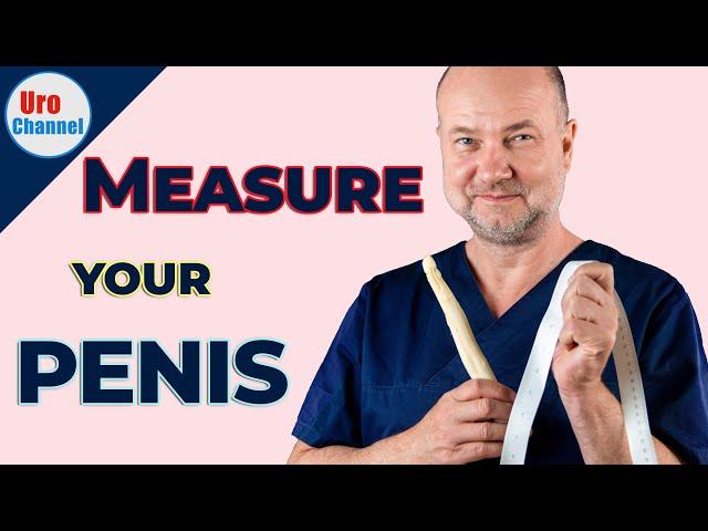 How to measure penile size practical guide | UroChannel