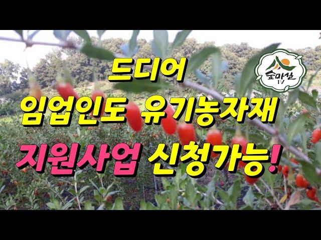 유기농자재지원사업 산림 임업 농업 6차산업 임업후계자 임산물 경북농민사관교 임업경영체 임업직불금 농업경영체 귀농귀촌정보 귀산촌정보 그루경영체 숲마실 숲해설사 친환경직불금 농지원부