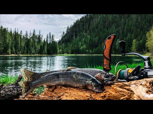 Mountain Lake Cutthroat Trout Catch & Cook (Spring Fishing)