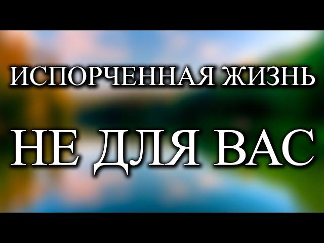 После этого видео вы не сможете жить плохо - Роберт Адамс