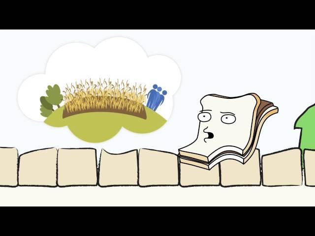 What's the problem with wasting food? | Royal Society of Biology
