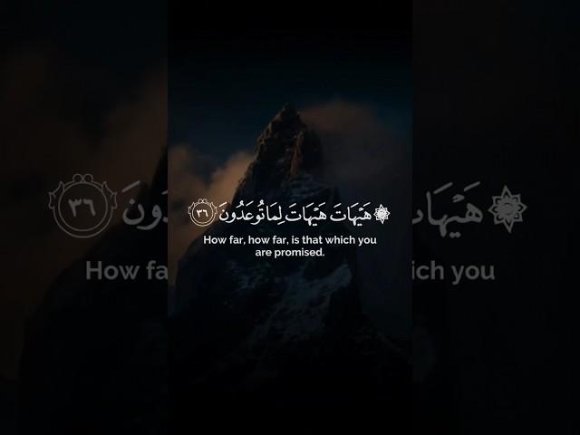 هيهات هيهات لما توعدون|ياسر الدوسري #قرآن #حالات_واتس