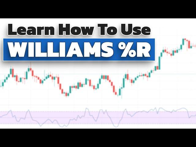 Williams R Indicator Explained For Beginners (Learn How To Use Williams R In Trading Strategy)