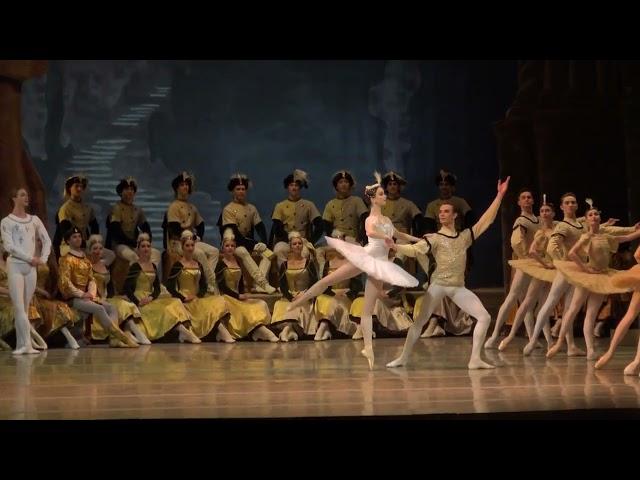 Maria Ilyushkina & Nikita Korneyev (Mariinsky Ballet) Raymonda Act 3 (Grand Pas)