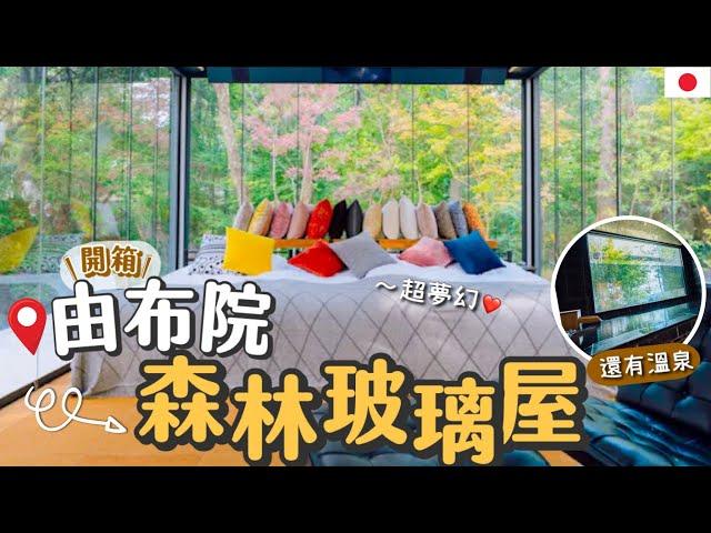 隱藏在森林裡的玻璃屋 | 由布院絕美溫泉住宿 | 夢幻星空+溫泉️ | 日本Glamping豪華露營一泊兩食