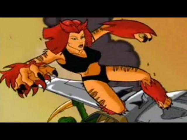 Tigra action scenes from the cartoons Compilation(1994-2022)