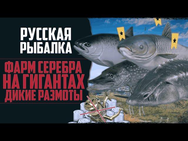 Новый Путь в РР4 #12  Трофейная Рыбалка | Гиганты Ломают Снасти | Прокачка Спиннинговой Ловли