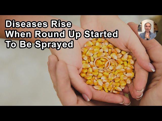 More Than 30 Diseases In The US Seemed To Have A Bump Up When Round Up Started To Be Sprayed On GMO