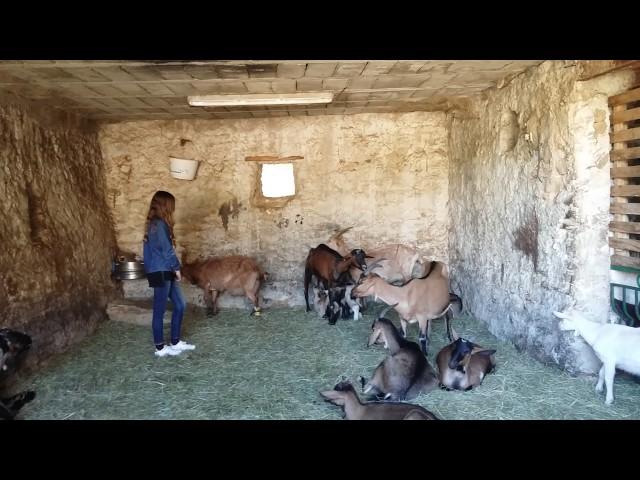 Mary J à la Ferme - Fromagerie Magnaldi de La Cadière d'azur le 08 05 2017