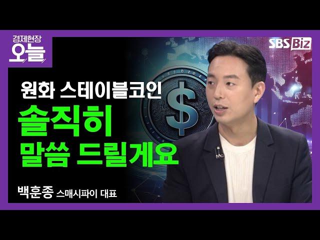 [이슈체크] 원화 스테이블코인, 지금 꼭 해야할까?